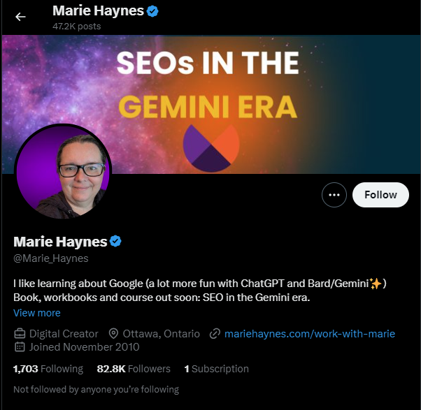 Marie Haynes influencer SEO